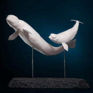 YVELIN_Laurent_Duo de Belugas_sculpture_84x40x30cm