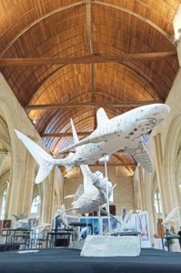IMG_20250522_082444