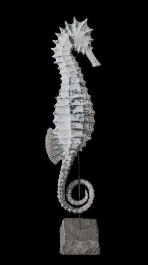 Laurent Yvelin - Hippocampe - 4