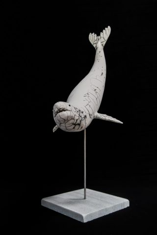 Leopard de Mer 4