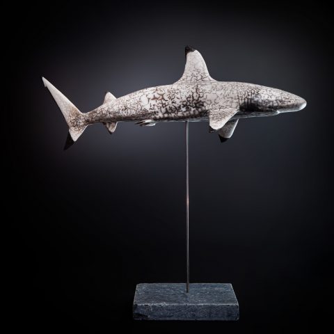 YVELIN_Laurent_Requin Pointes Noires_sculpture_raku_50x59x25cm